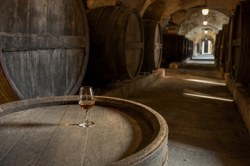Vinhos de Setúbal e o Moscatel